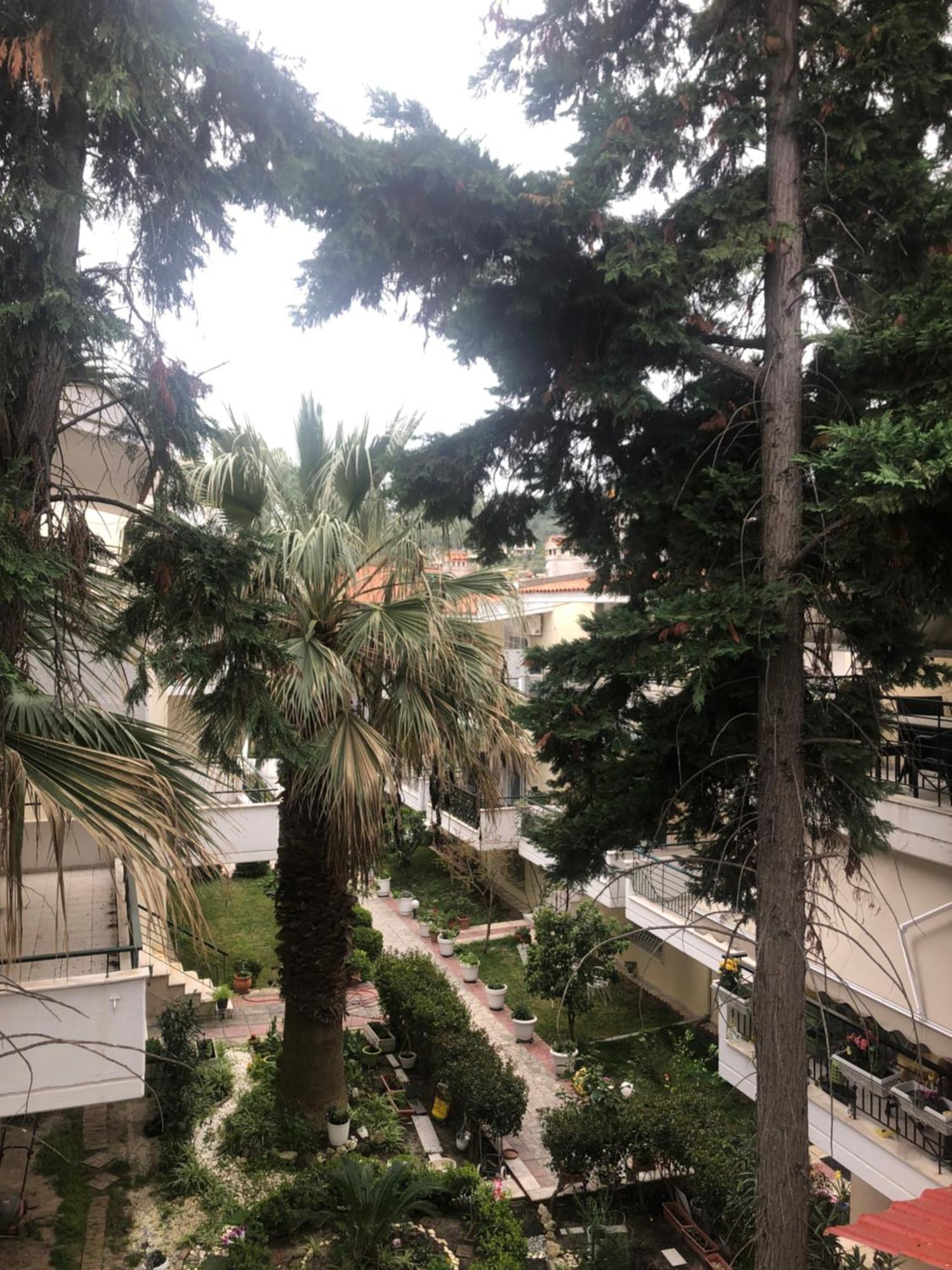 Miminllari Apartments 2 Πευκοχώρι Εξωτερικό φωτογραφία
